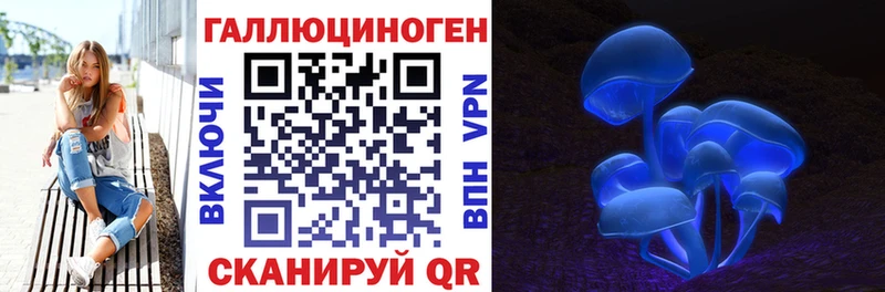 Купить где  Островной  Псилоцибиновые грибы прущие грибы 