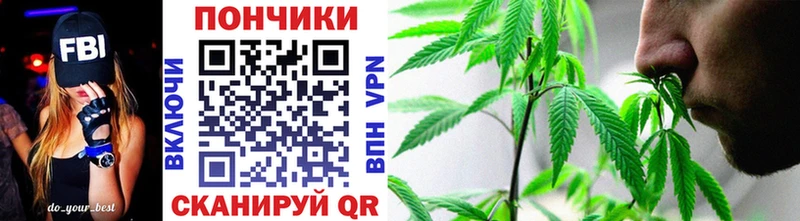 Шишки марихуана Bruce Banner  Купить где  Островной 